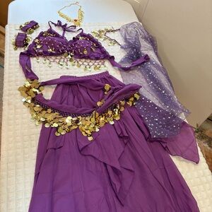Purple Belly Dance Costume with Gold Accents